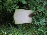 image of grave number 540321